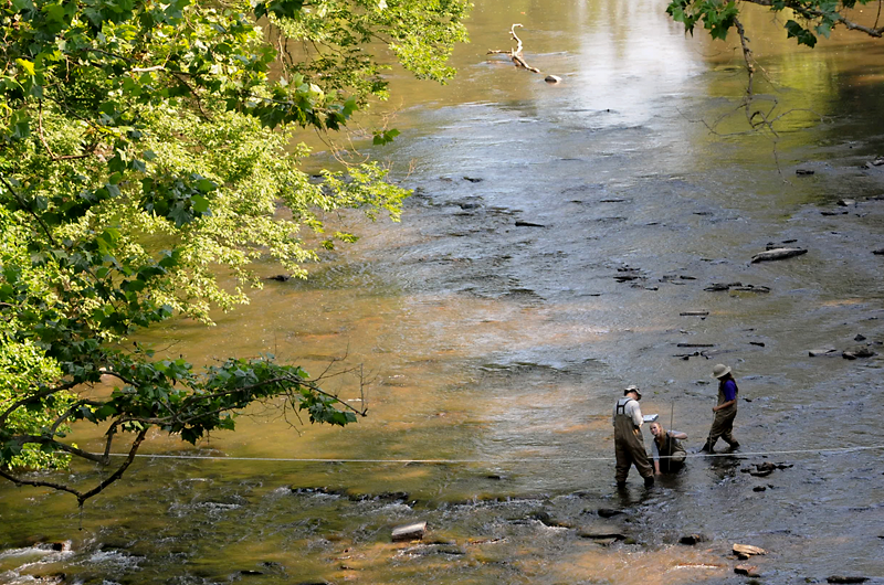 Academy scientists and a Drexel student collect algae and examine the rocks and water depth in Manatawny Creek as part of the Delaware Watershed Conservation Program. Photo Credit: John Strickler/The Mercury 